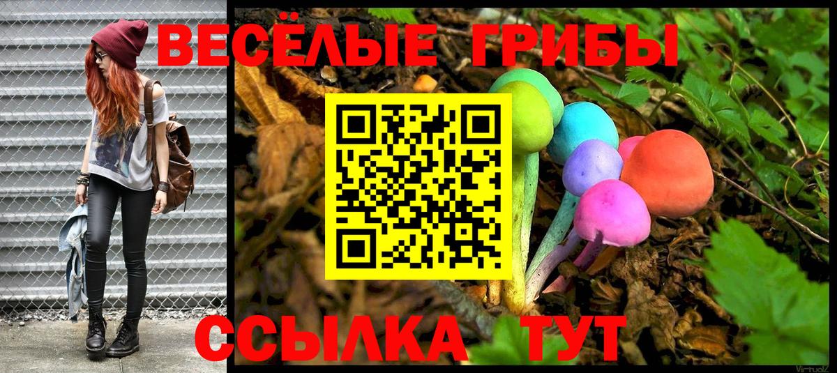 Галлюциногенные грибы Psilocybe Наро-Фоминск