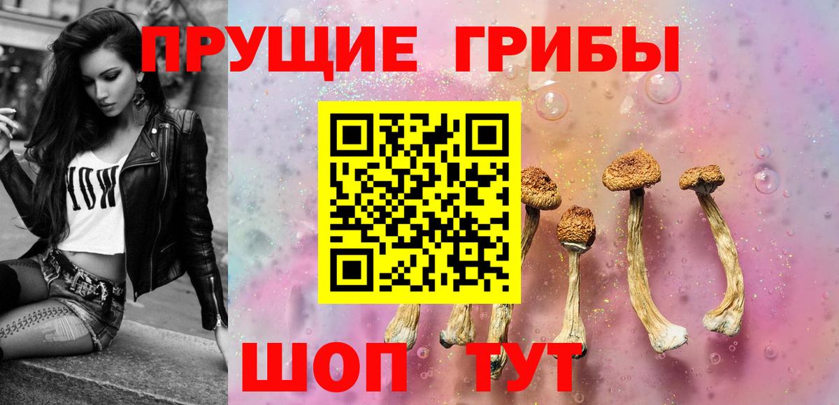 Псилоцибиновые грибы Psilocybe  Псилоцибиновые грибы MAGIC MUSHROOMS  Наро-Фоминск  Вход с VPN 